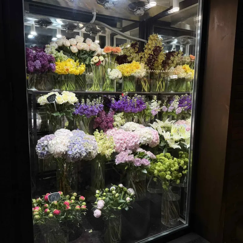 Bloom Flowers — 4