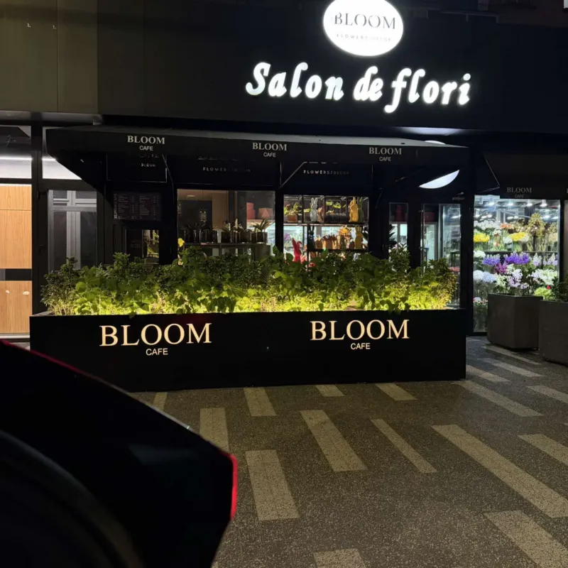 Bloom Flowers — 5