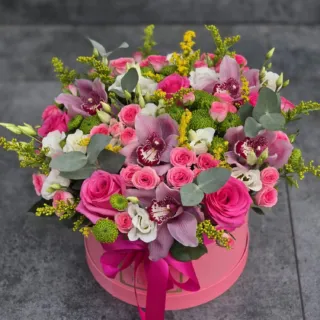 Camelia Flori