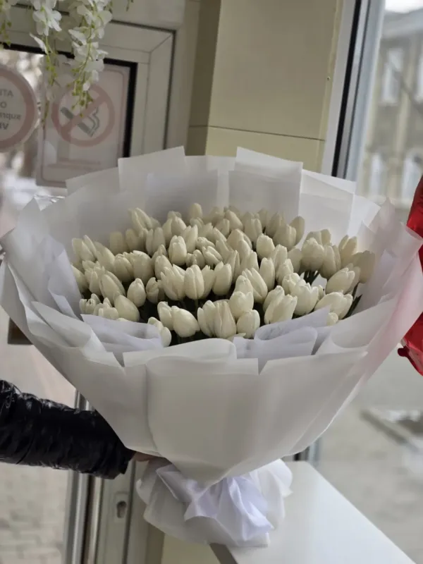 Camelia Flori — 4