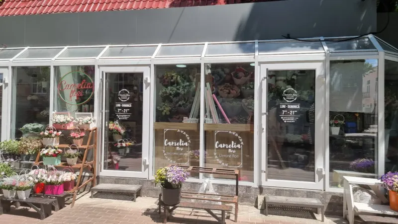 Camelia Flori — 6