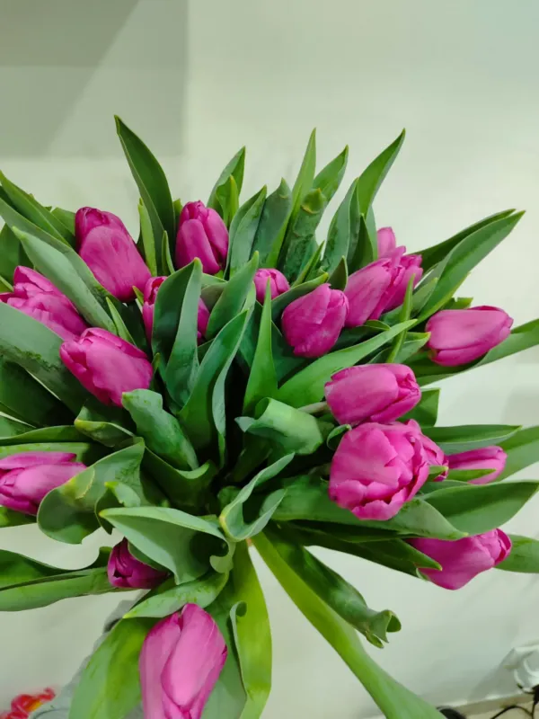 Dorry Flowers — 2