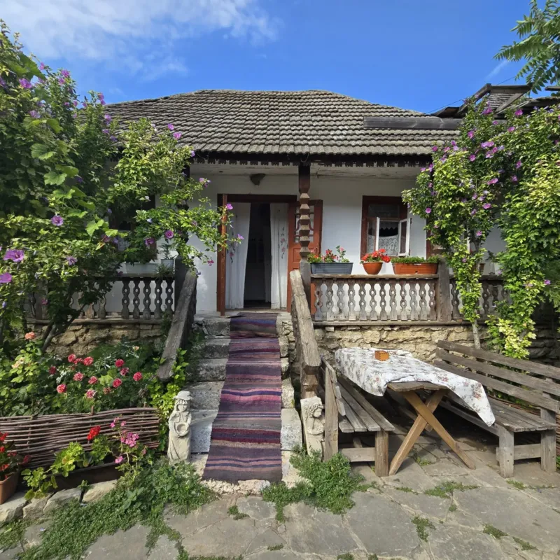 Eco-Resort Butuceni — база отдыха, Бутучены (фото 3)