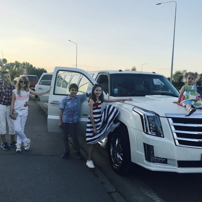 Elite Limo — транспорт, Рышкановка (фото 5)