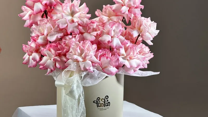 FanFan Floristica — 2