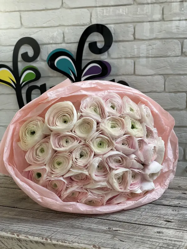 FanFan Floristica — 3