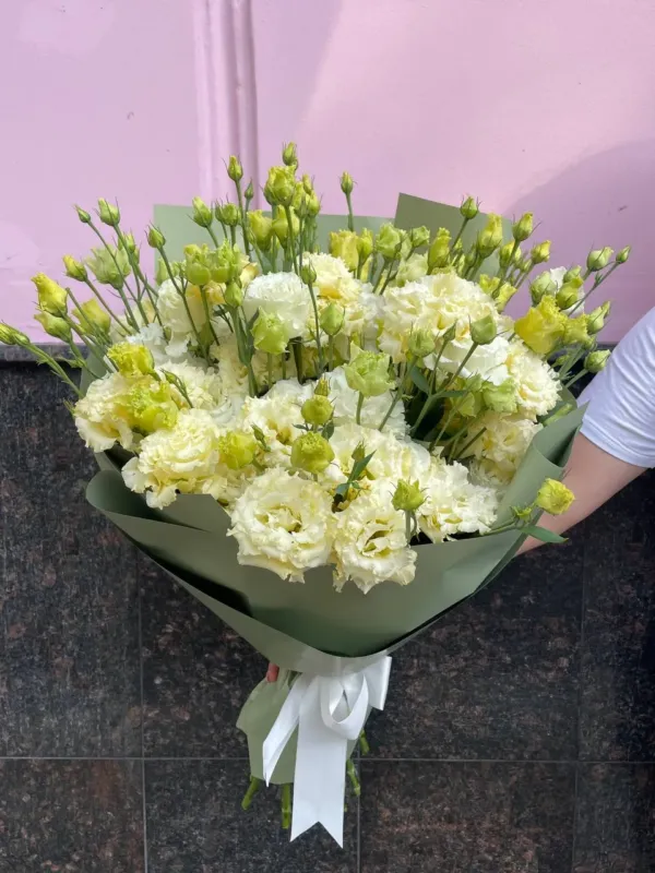 Florar.md — 4