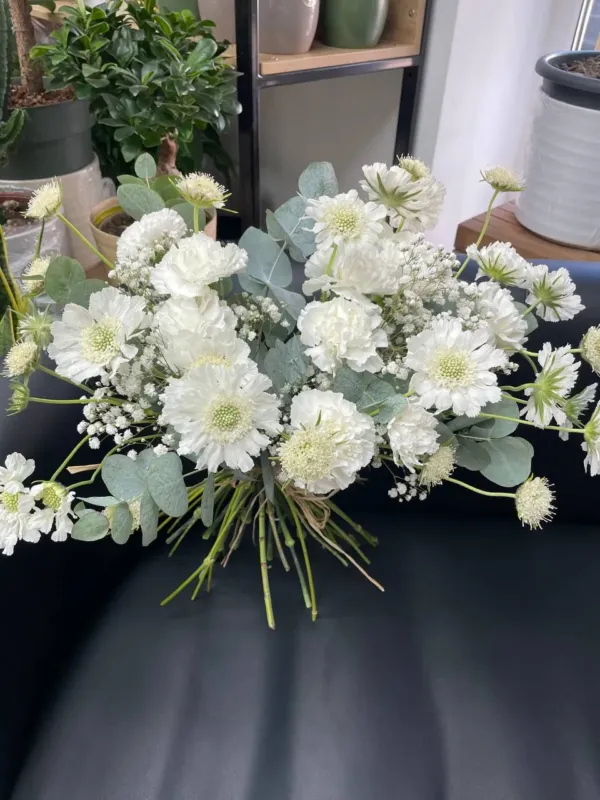 Florar.md — 6