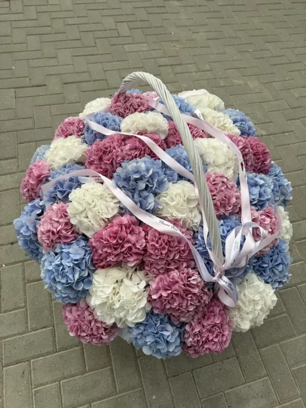 FlowerBox Moldova — 2