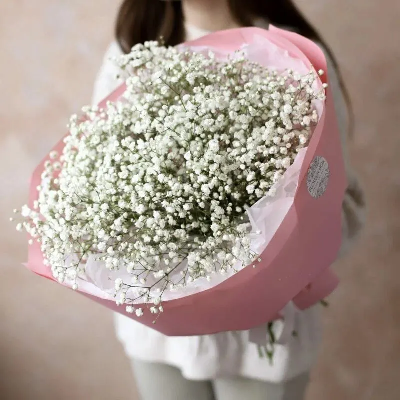 FlowerBox Moldova — 4
