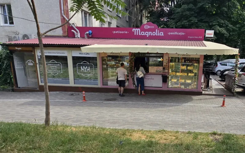 Magnolia — 6