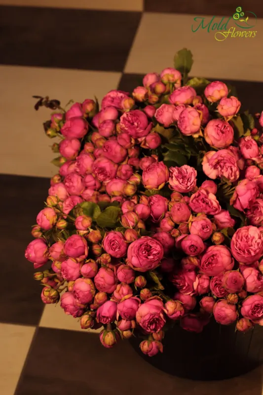 MoldFlowers — 3