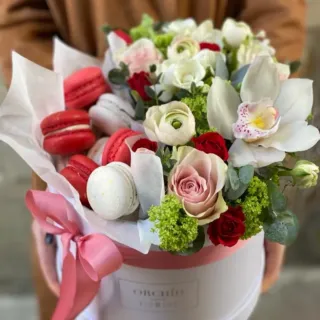 Orchid Flowers
