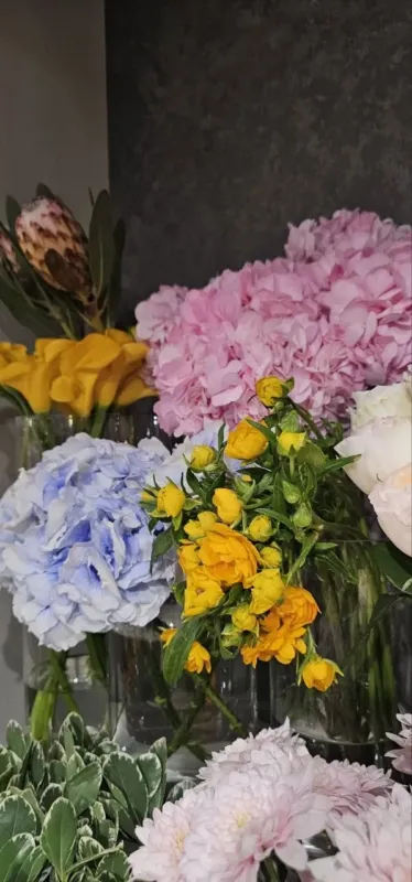 Oxygène Floristique Lab — 2