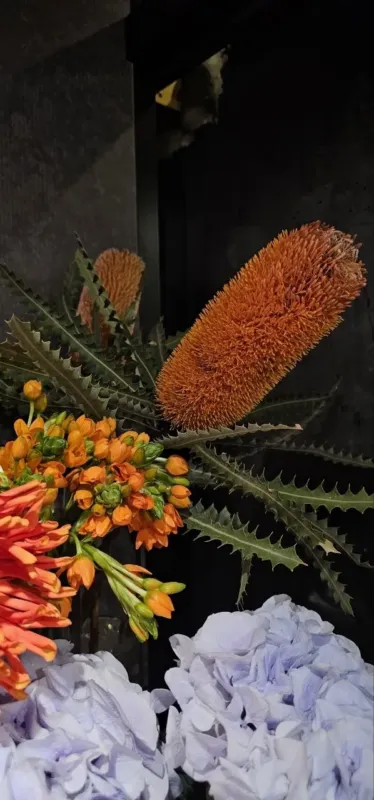 Oxygène Floristique Lab — 3