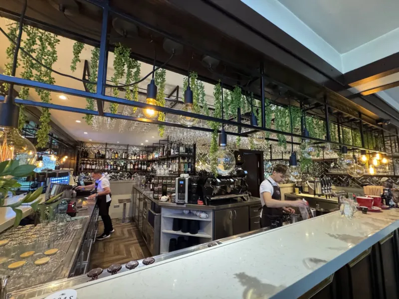 Pegas Terrace & Restaurant — ресторан, Кишинёв (фото 5)