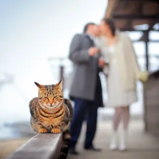 Photographer.md — Andrei Zveaghintev