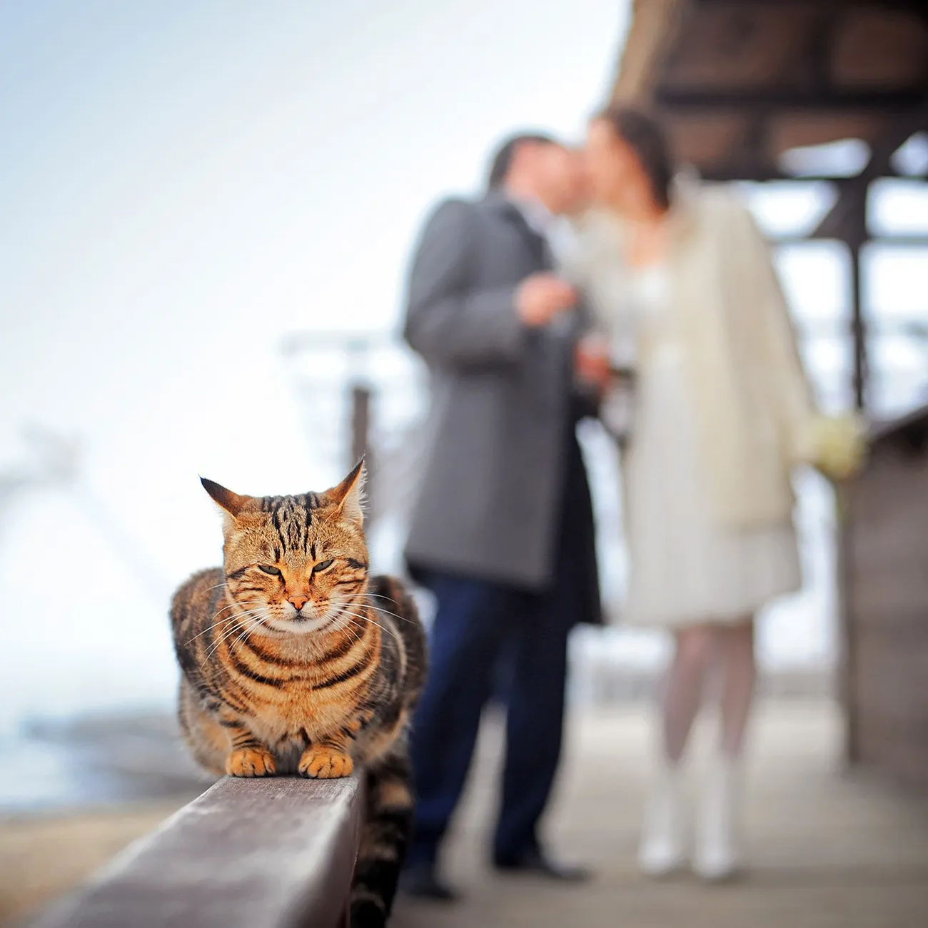 Photographer.md — Andrei Zveaghintev