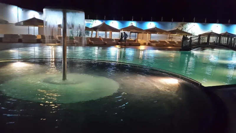 Premium Park — restaurant, Budești (foto 3)