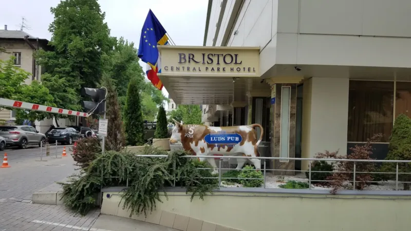 Restaurant Bristol — банкетный зал, Кишинёв (фото 4)