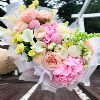 Rosa
