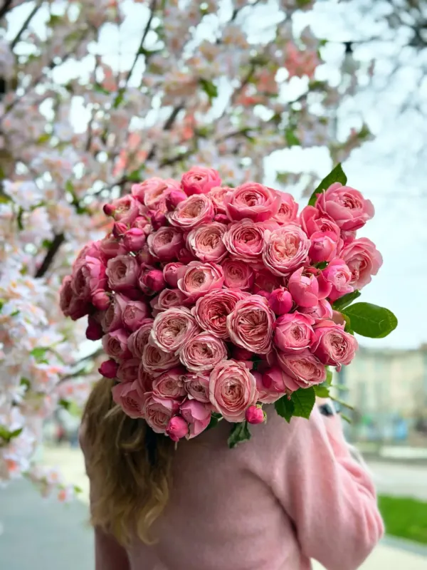 Rosa — 2