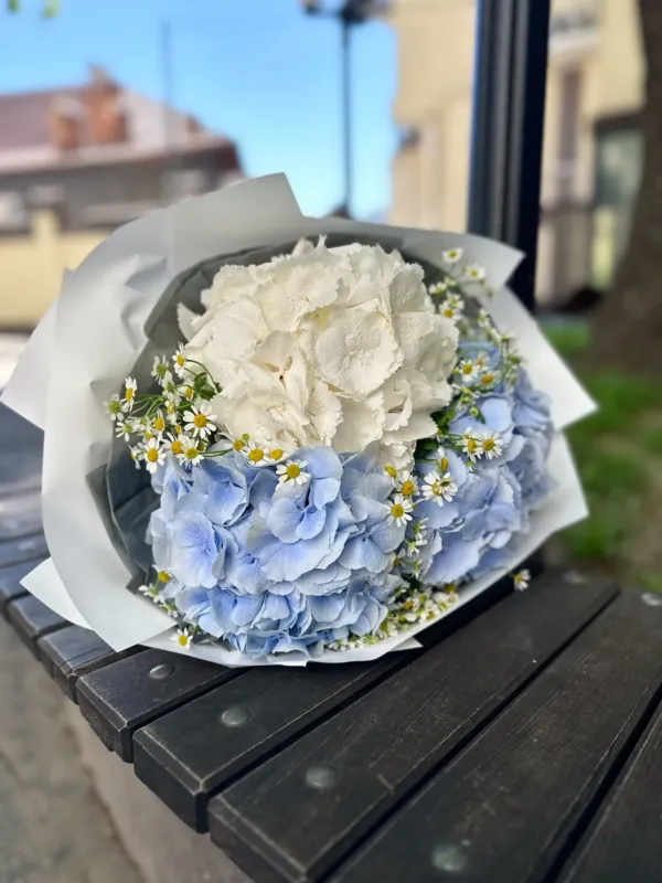Rosa — 5