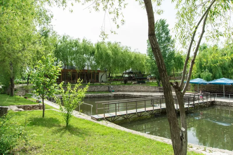 Sala de Nunți „Voyage” — sală de banchet, Ialoveni (foto 2)