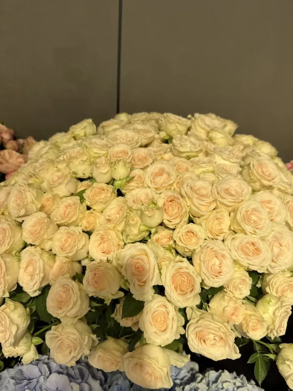 Secretflowers — Bd. Mircea cel Bătrîn 16 — 2