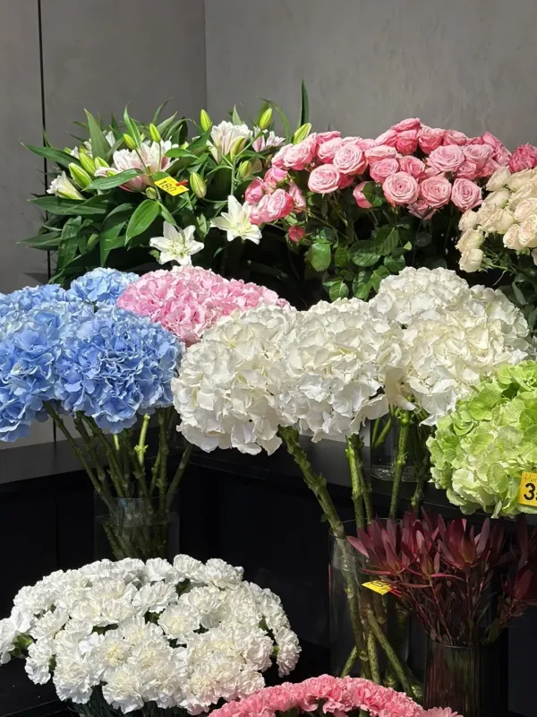 Secretflowers — Bd. Mircea cel Bătrîn 16 — 5