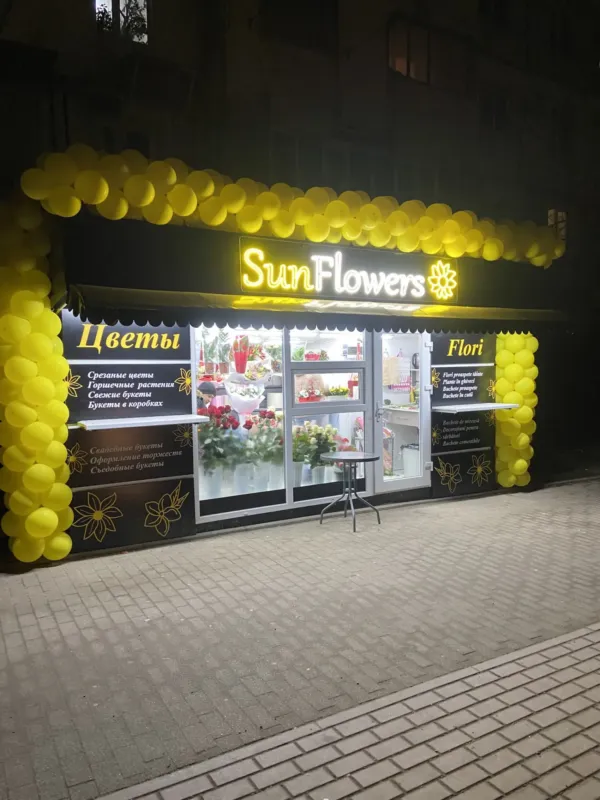 SunFlowers — Str. Ștefan cel Mare 2 — 6