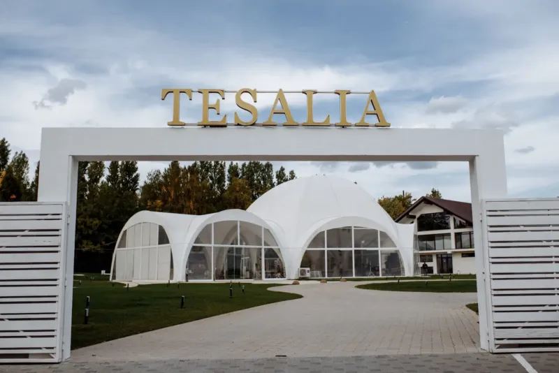 Tesalia — банкетный зал, Яловены (фото 2)