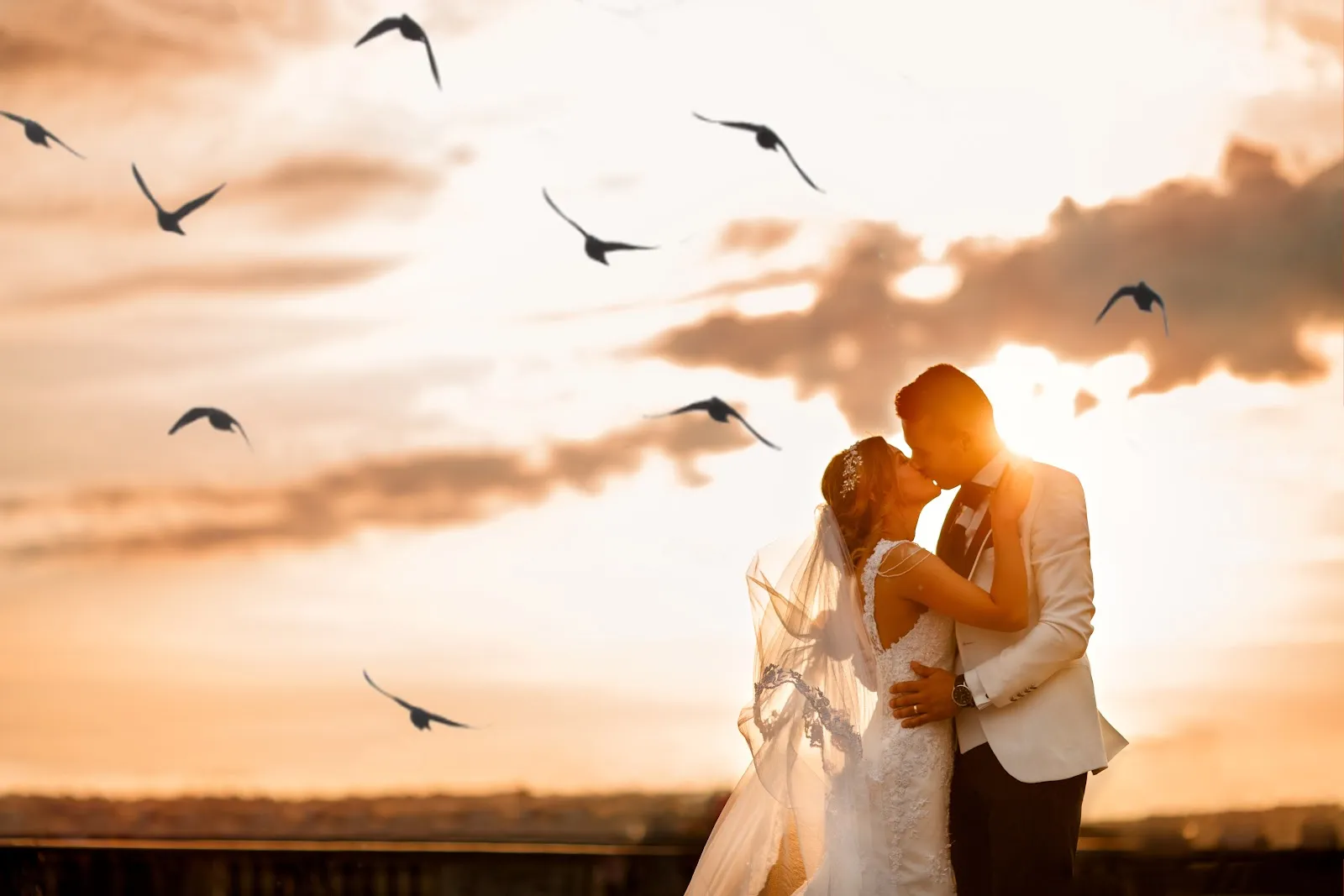 Wedding Photo & Cinema